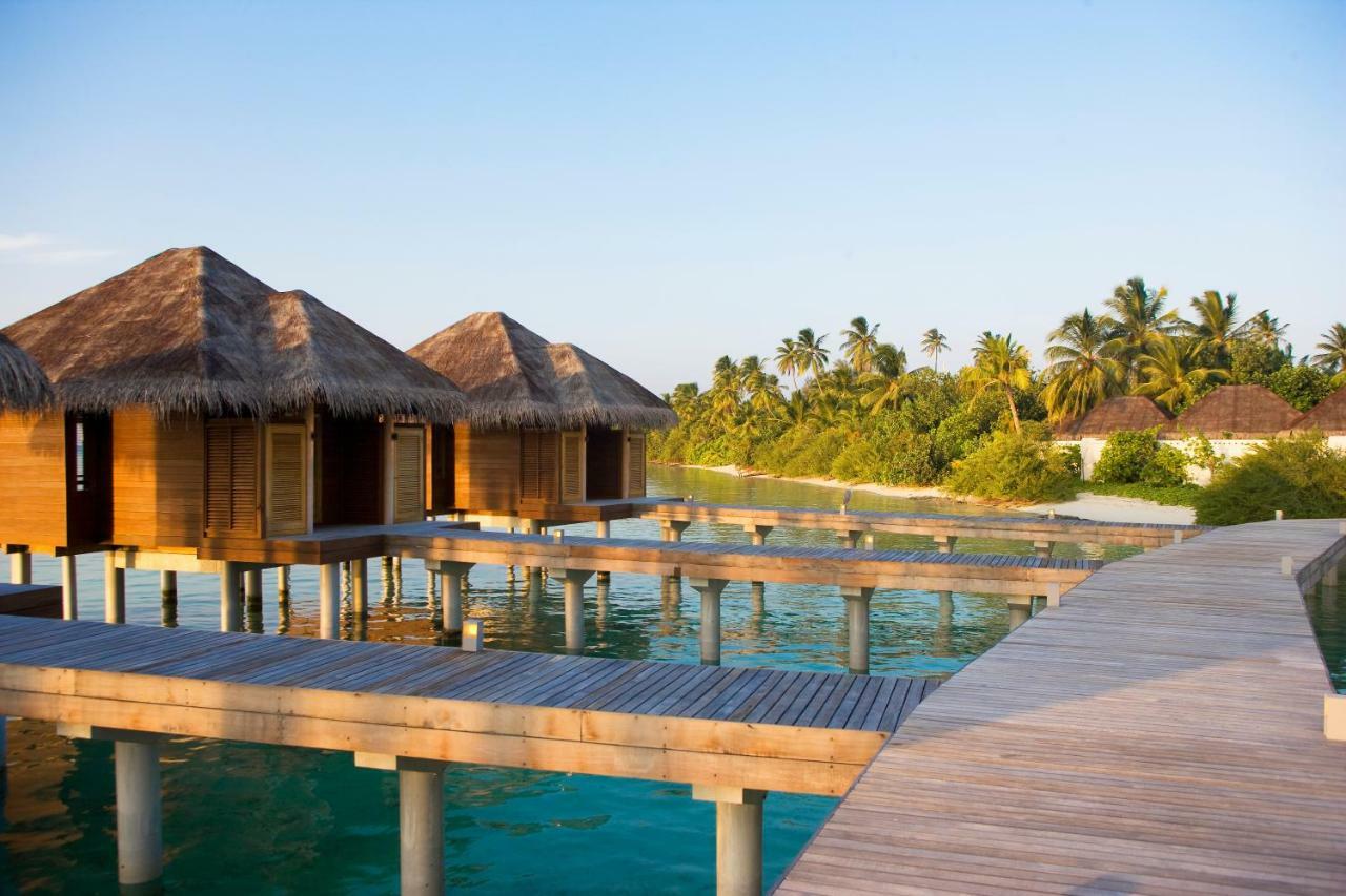 Lux south ari atoll resort. Lux Мальдивы Maldives 5 Мальдивы. South ari Atoll. Lux South ari Atoll 5. Luxe South ari Atoll.